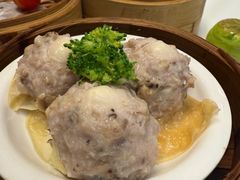 -有心德(麦地店)