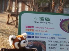 -合肥野生动物园