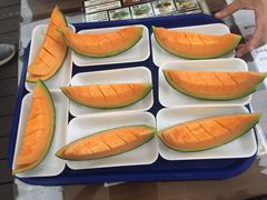 -富田农场