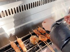 -北京上庄水库尚野露天户外自助烧烤