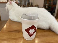 -有猫主题·治愈系猫咖(曾厝垵店)
