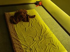 -泰吉象·纯正泰式按摩SPA(花园坊店)