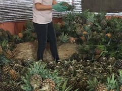 -曼阁市场水果批发市场