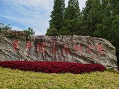 -东平国家森林公园