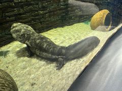 -石家庄海洋公园