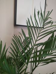 -悦艾堂·中医拔罐减肥·美体艾灸连锁