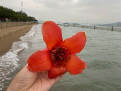 -梧桐山风景名胜区