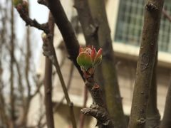 -山东理工大学
