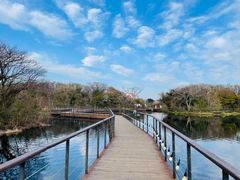 -济州森林小火车生态公园