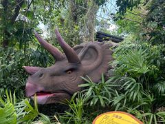 -海南热带野生动植物园