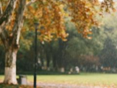 -汉长安城未央宫国家考古遗址公园