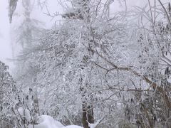 -瓦屋山景区