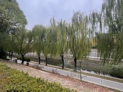 -元大都城垣遗址公园