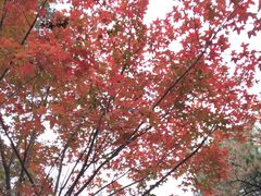 -香山公园-东宫门售票处