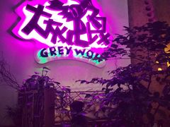 -大灰狼(中心书城店)