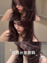 -YESIDO椰岛造型