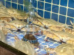 -碧海银沙海鲜餐厅(恒大海上威尼斯店)