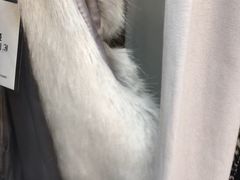 -广州白马服装市场