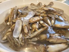 -味到1981日照海鲜·渔饺子