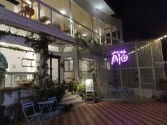 -有猫主题·治愈系猫咖(曾厝垵店)
