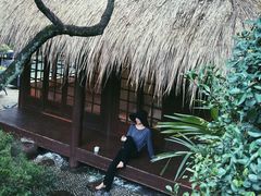 -中国茶叶博物馆(双峰馆区)