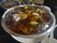 -红京鱼(西坝河店)