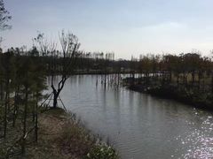 -上海长兴岛郊野公园