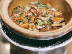 -红星光发煲仔饭(文海店)