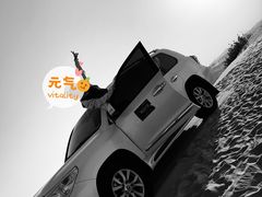 -迪拜沙漠冲沙