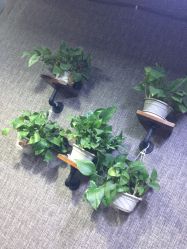 点击看大图 -HD HAIR STYLE