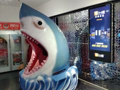 -金逸影城(大悦城IMAX激光店)