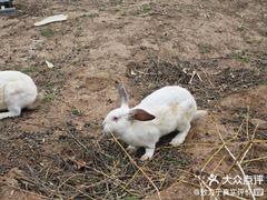 -山西乌金山旅游区