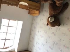 -金山农民画村-枫泾波兰倒置屋