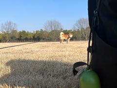 -山明水秀大饭店