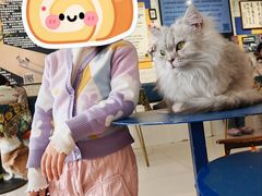 -平行世界·猫咖(首经贸店)