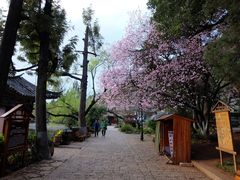 -黑龙潭公园