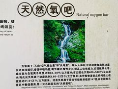 -石台牯牛降景区