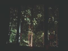-花马天堂云南餐厅 Lost Heaven(高邮路店)