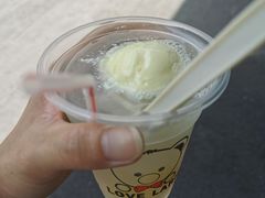菠萝冰水球-成裕雪糕店(士多店)