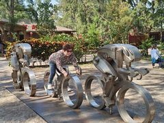 -北海金海湾红树林生态旅游区