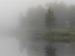 -海南热带雨林国家公园吊罗山景区