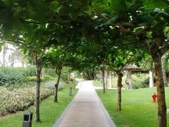 -三亚亚龙湾天域度假酒店