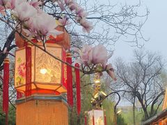 -白家大院·王府宫廷菜(苏州街店)