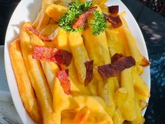 -Fern Forest Cafe