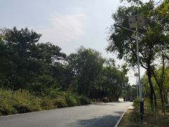 -绿堤公园