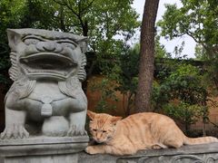 -高旻寺