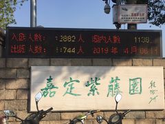 -嘉定紫藤园