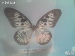 -吉林省自然博物馆