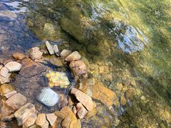 -北仑森林植物园