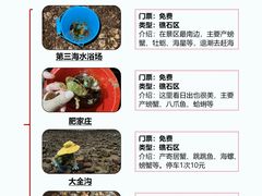 -巧克力渔家.小船海鲜胶东菜(万平口店)